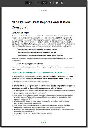 2025-08-06-NelsonReview-ConsultationQuestions