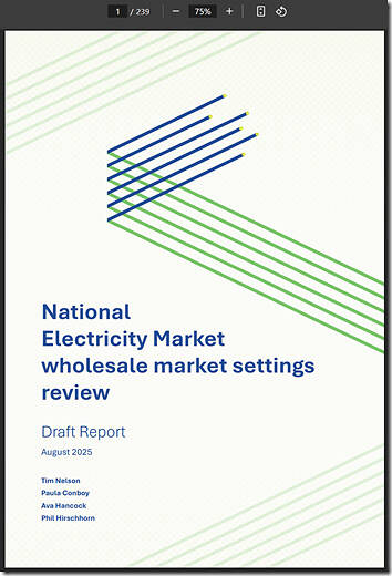 2025-08-06-NelsonReview-DraftReport-Cover